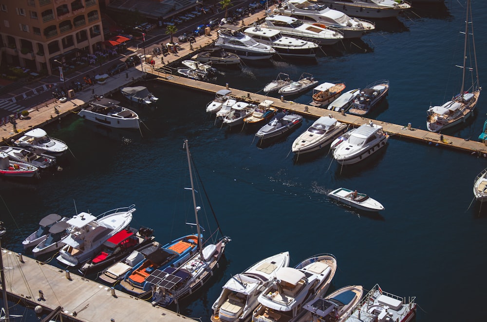 a marina filled with lots of white boats