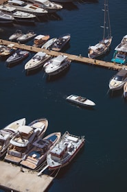 A marina with numerous boats docked along a wooden pier, featuring a variety of vessels ranging from yachts to small motorboats. The water appears deep blue, and a single motorboat is cruising away from the docks.