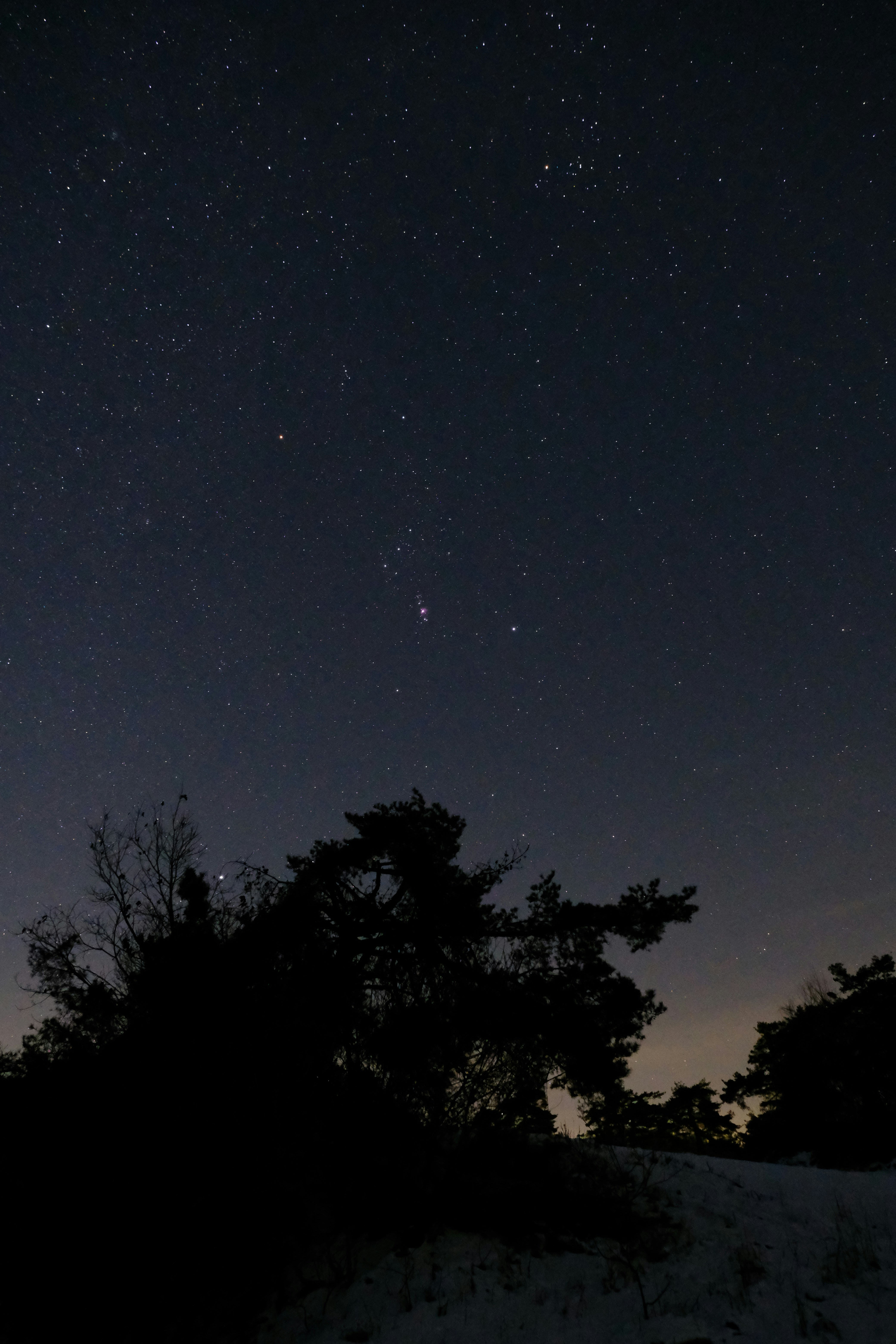 Photo by jogangyeonn