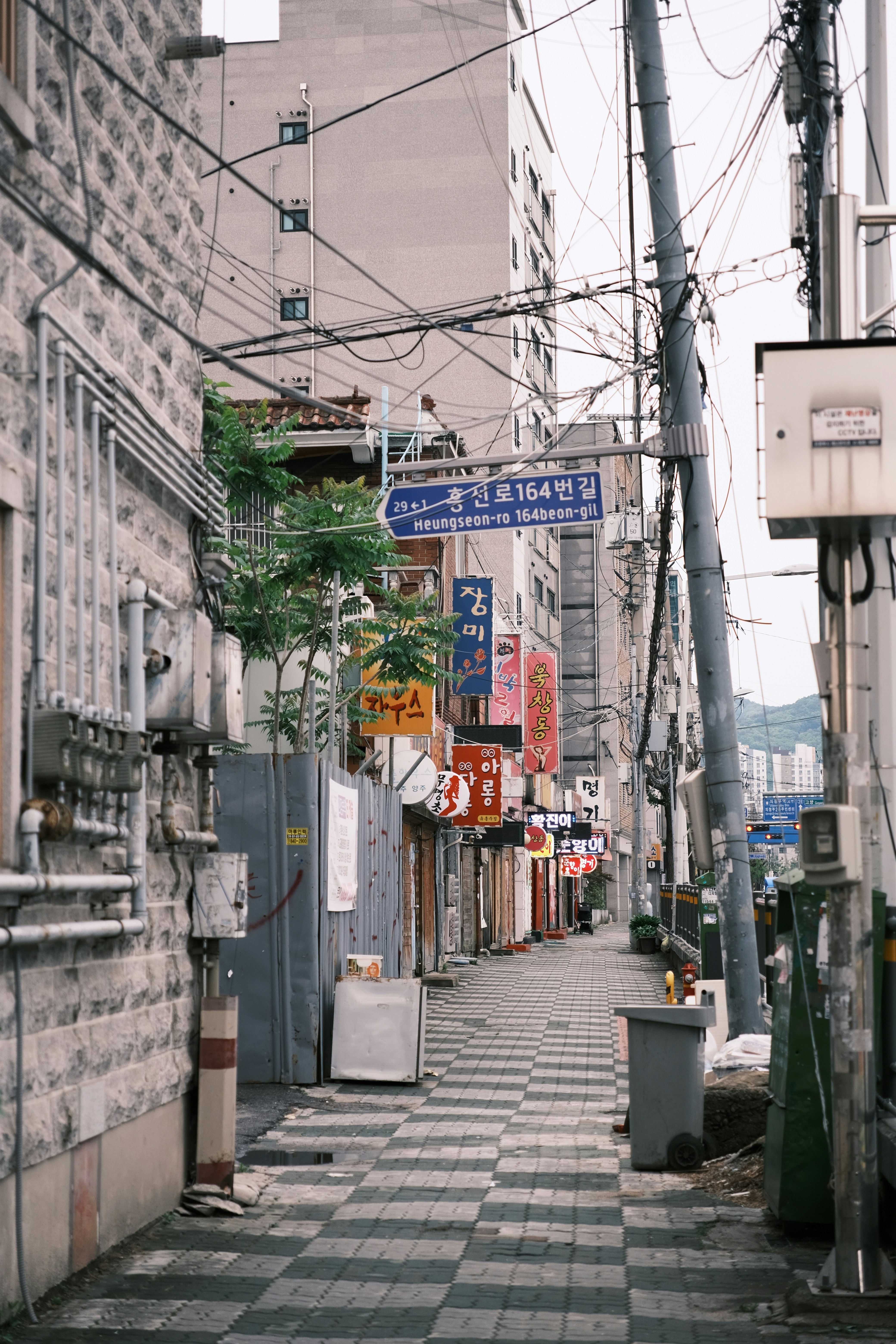 Photo by jogangyeonn