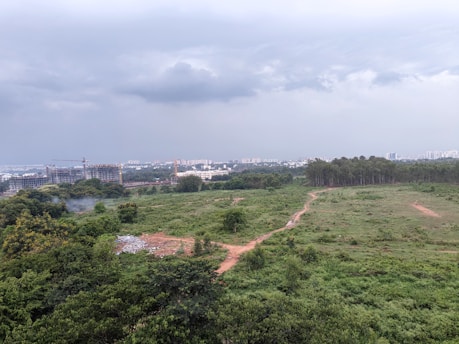 Green spacious land plots ready for development with city skyline in background
