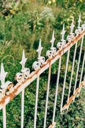A wrought iron fence with decorative spearhead finials stands in a lush garden. The fence shows signs of rust, accentuating its aged appearance. In the background, there is dense greenery with various plants and wildflowers.