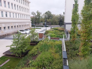 A lush green rooftop garden with various shrubs and grasses is visible. The garden features benches and is surrounded by a white building with multiple windows. A white car is parked on the pavement nearby. Trees and other vegetation line the background, giving a sense of an urban environment with greenery.