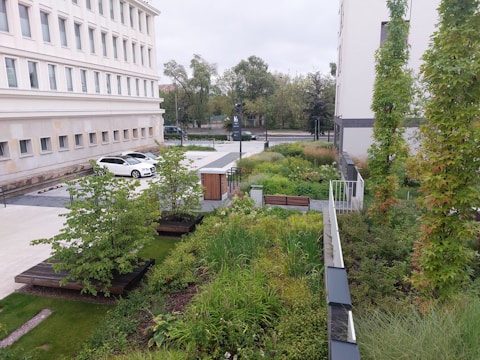 A lush green rooftop garden with various shrubs and grasses is visible. The garden features benches and is surrounded by a white building with multiple windows. A white car is parked on the pavement nearby. Trees and other vegetation line the background, giving a sense of an urban environment with greenery.
