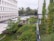 A lush green rooftop garden with various shrubs and grasses is visible. The garden features benches and is surrounded by a white building with multiple windows. A white car is parked on the pavement nearby. Trees and other vegetation line the background, giving a sense of an urban environment with greenery.