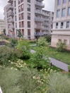 A modern urban apartment complex with multiple stories and balconies overlooks a well-maintained garden area. The garden is lush with a variety of plants and bushes, creating an inviting green space. A paved pathway runs through the greenery, and there is a street lamp near the path. The buildings are mostly neutral in color, contrasting with the vibrant garden.