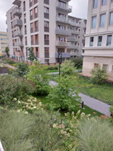A peaceful view of the apartment complex’s well-maintained walking paths lined with greenery.