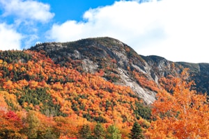 Autumn Mountain Glow