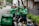 Several delivery riders wearing green Grab jackets are gathered on the sidewalk giving each other high-fives. They are standing next to their parked motorcycles and bicycles, and one of them holds a helmet. The setting appears to be an urban street lined with greenery and buildings.