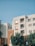 A modern residential building with a minimalist design features multiple stories with balconies. The facade is a combination of white and burnt orange colors. In the foreground, there are lush green trees, and a clear blue sky forms the backdrop.