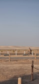 A cyclist riding through the dunes of the Sahara.