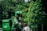 A delivery person wearing a green helmet and jacket rides a scooter. The scooter features a large green delivery box on the back, and the surroundings include lush green trees, suggesting an outdoor environment.