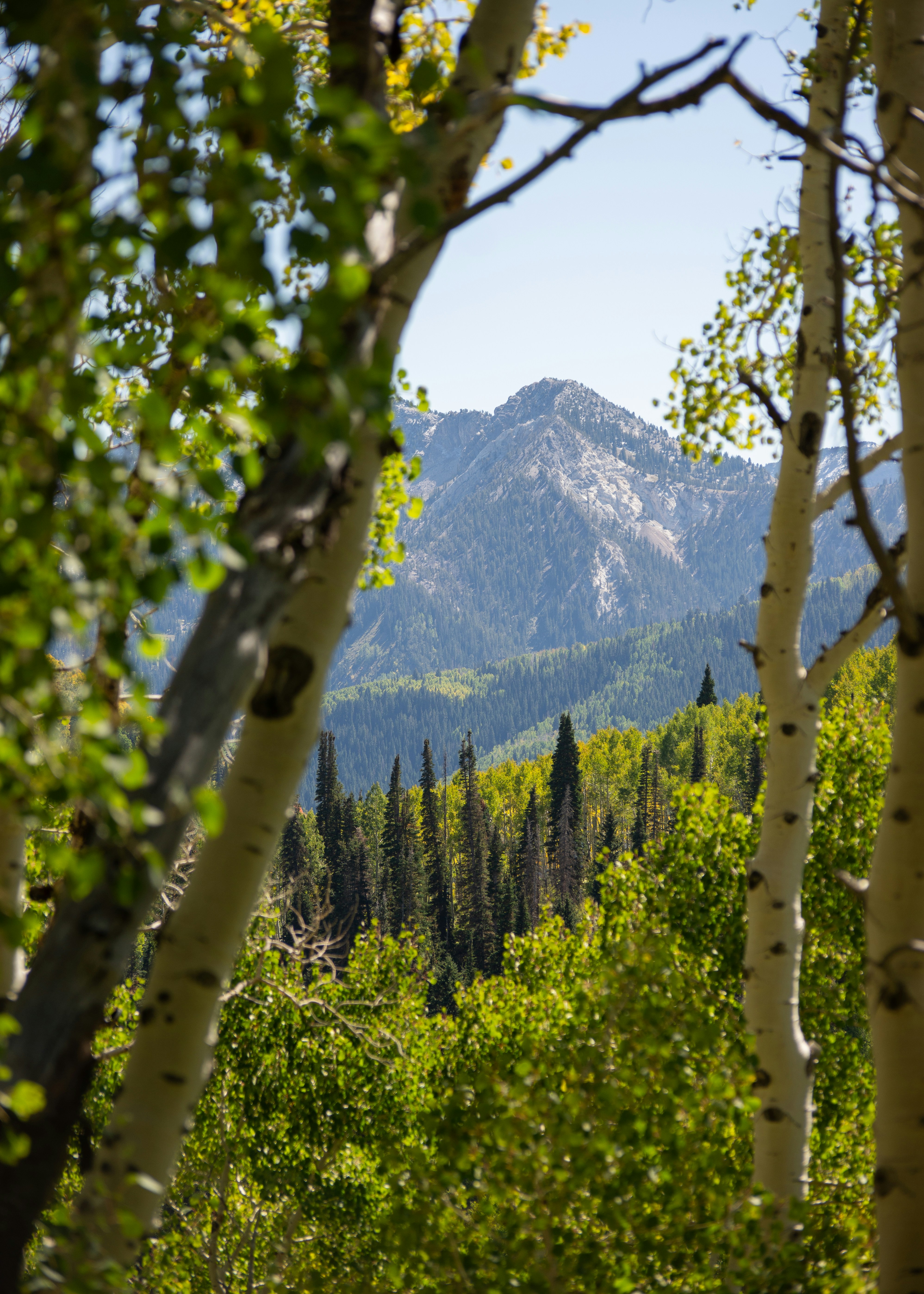 Photo by alexmoliski