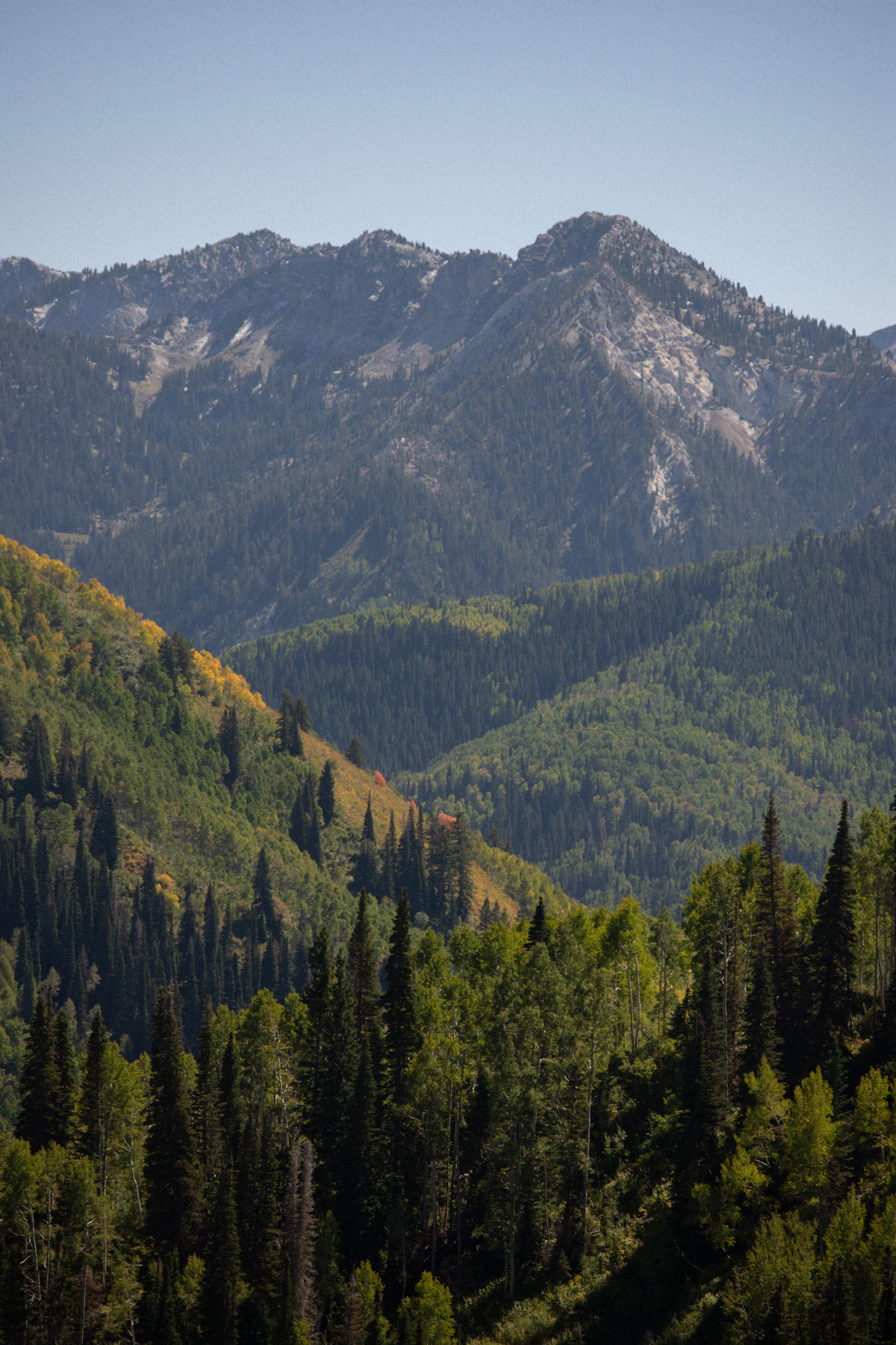 Forested ridges and a gray Wasatch peak seen from the trail to Desolation Lake, Utah