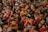 A large group of children of various ages are gathered closely together, with many looking directly at the camera. Some children are smiling, others are making playful hand gestures, and they are dressed in colorful clothing.