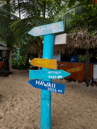 A tropical setting featuring a colorful wooden signpost with arrows pointing in different directions, each labeled with distant locations and their respective nautical miles. Surrounding the signpost are lush green palm leaves and thatched-roof structures that create a beach-like ambiance.