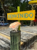 Professional bilingual driver greeting passengers with a welcoming smile in Tulum airport