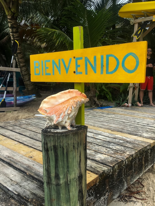 A vibrant yellow sign with 'BIENVENIDO' written in blue rests on a wooden platform with palm trees in the background. A large conch shell is displayed on a weathered post, adding a tropical touch to the scene. A paddle is visible, linked to the water activities often associated with such settings. In the background, a person appears partially obscured.