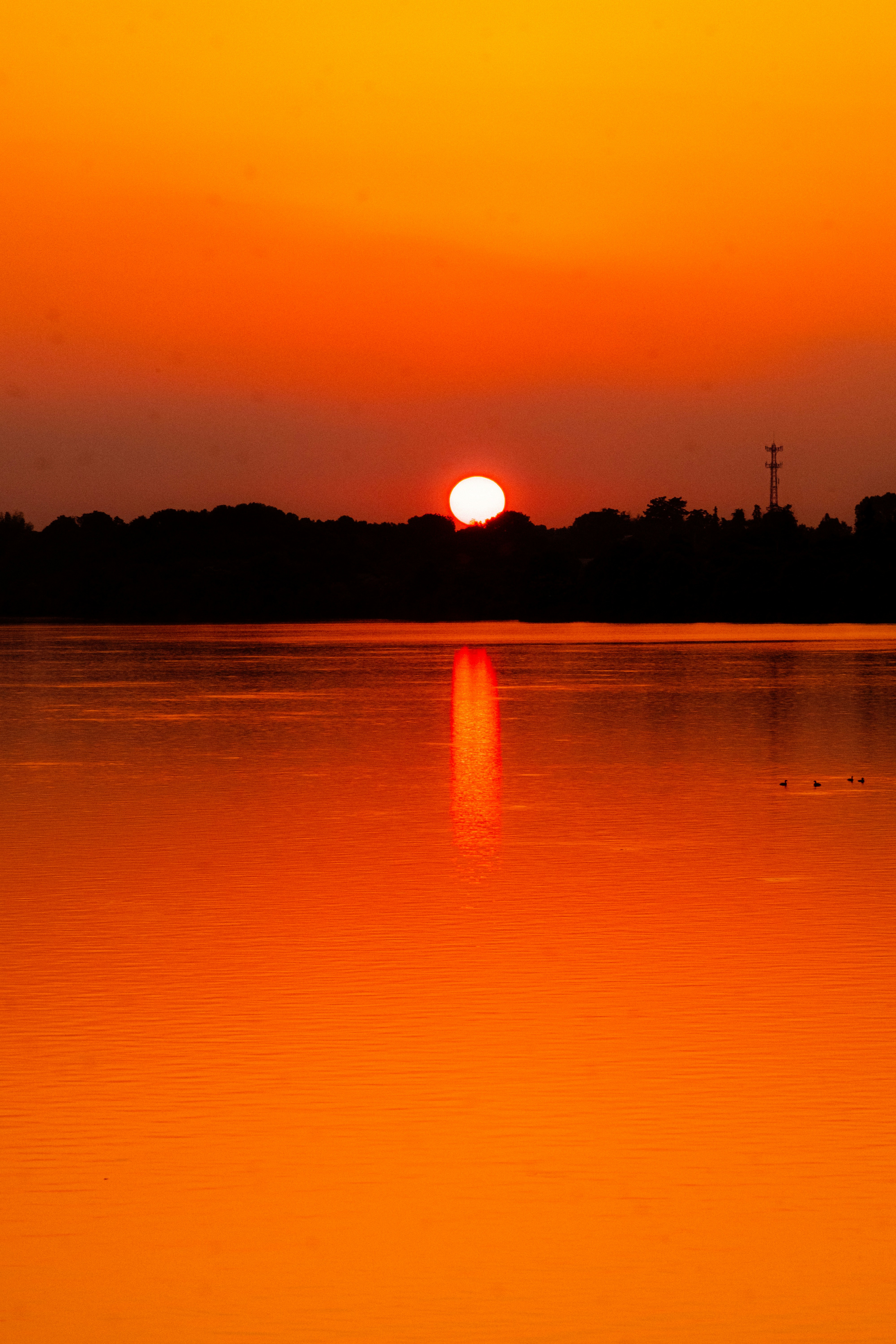 Photo by xiexianghua