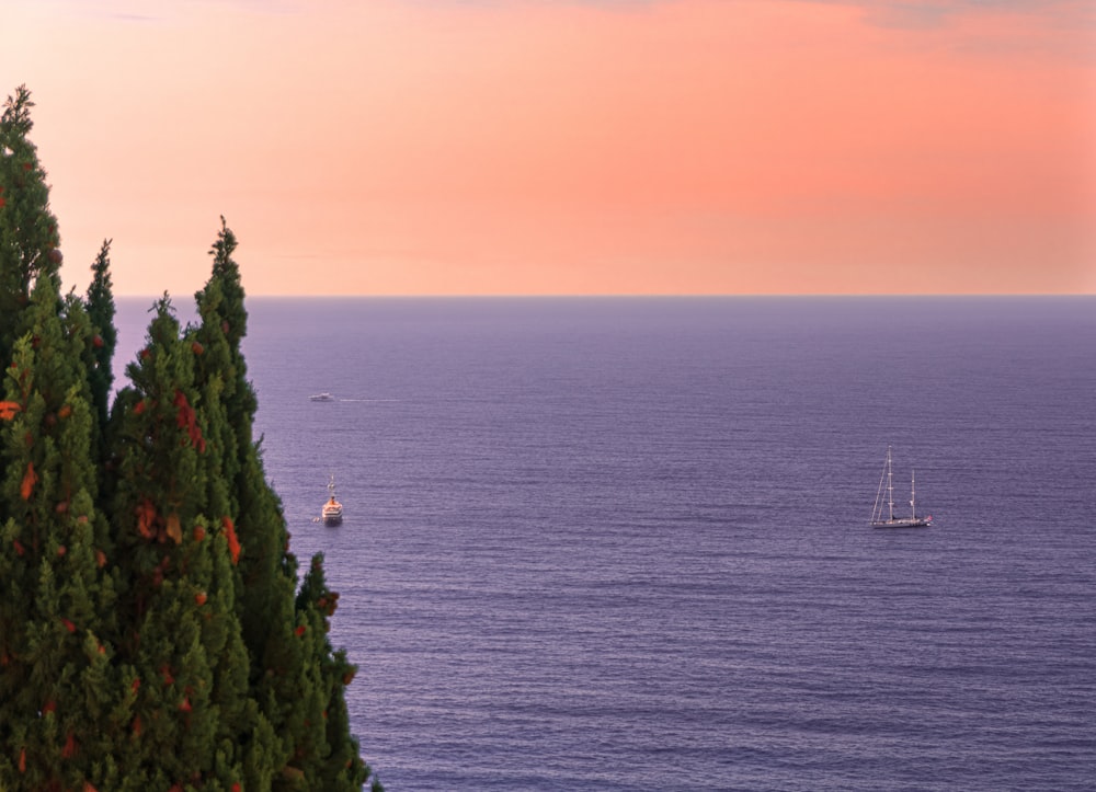 a boat is out on the water near some trees