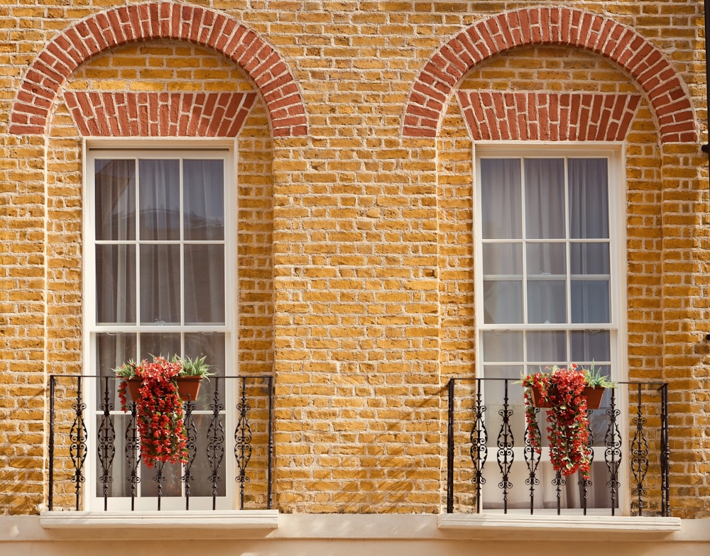 un par de ventanas sentadas en el costado de un edificio