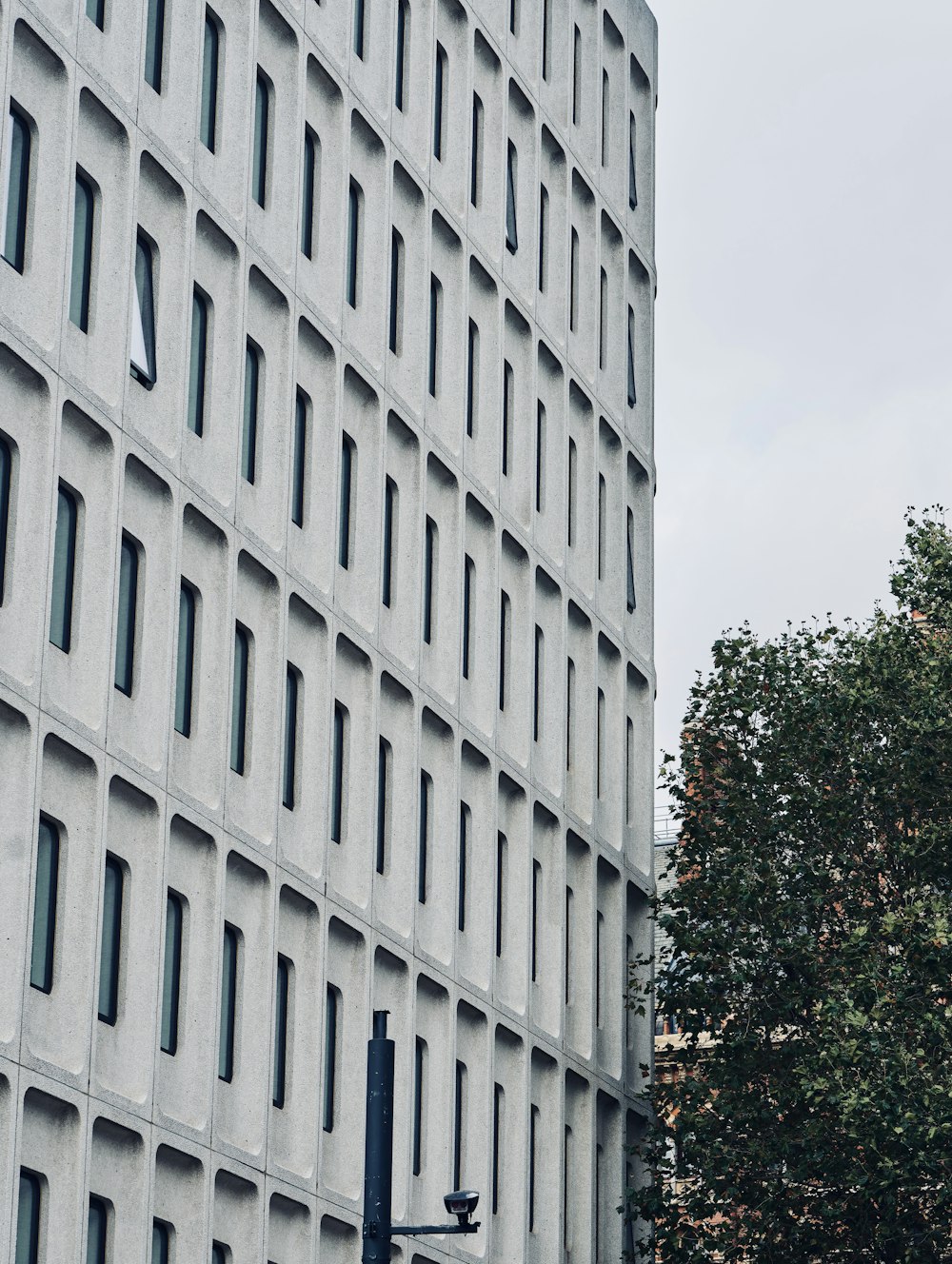 a tall building with many windows next to a tree