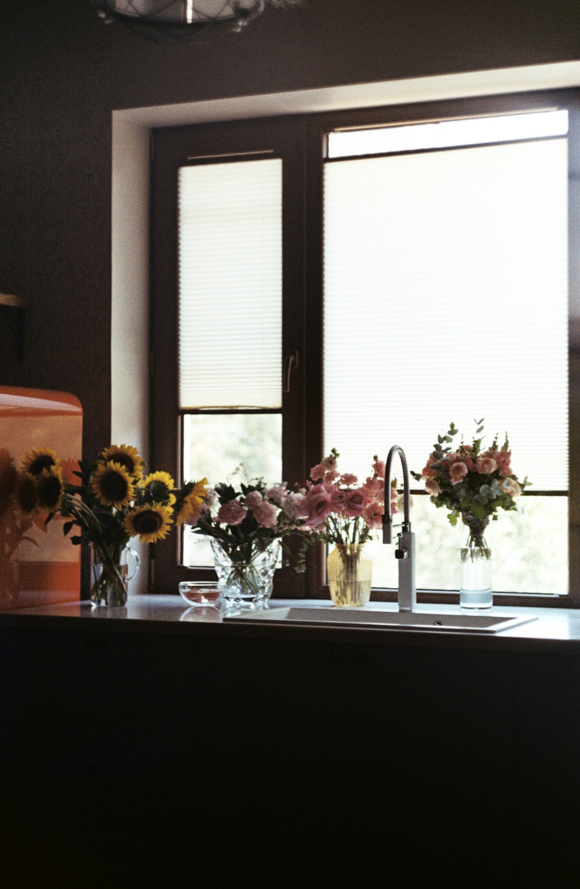 Jars of sunflowers and roses on a kitchen counter by a sunny window