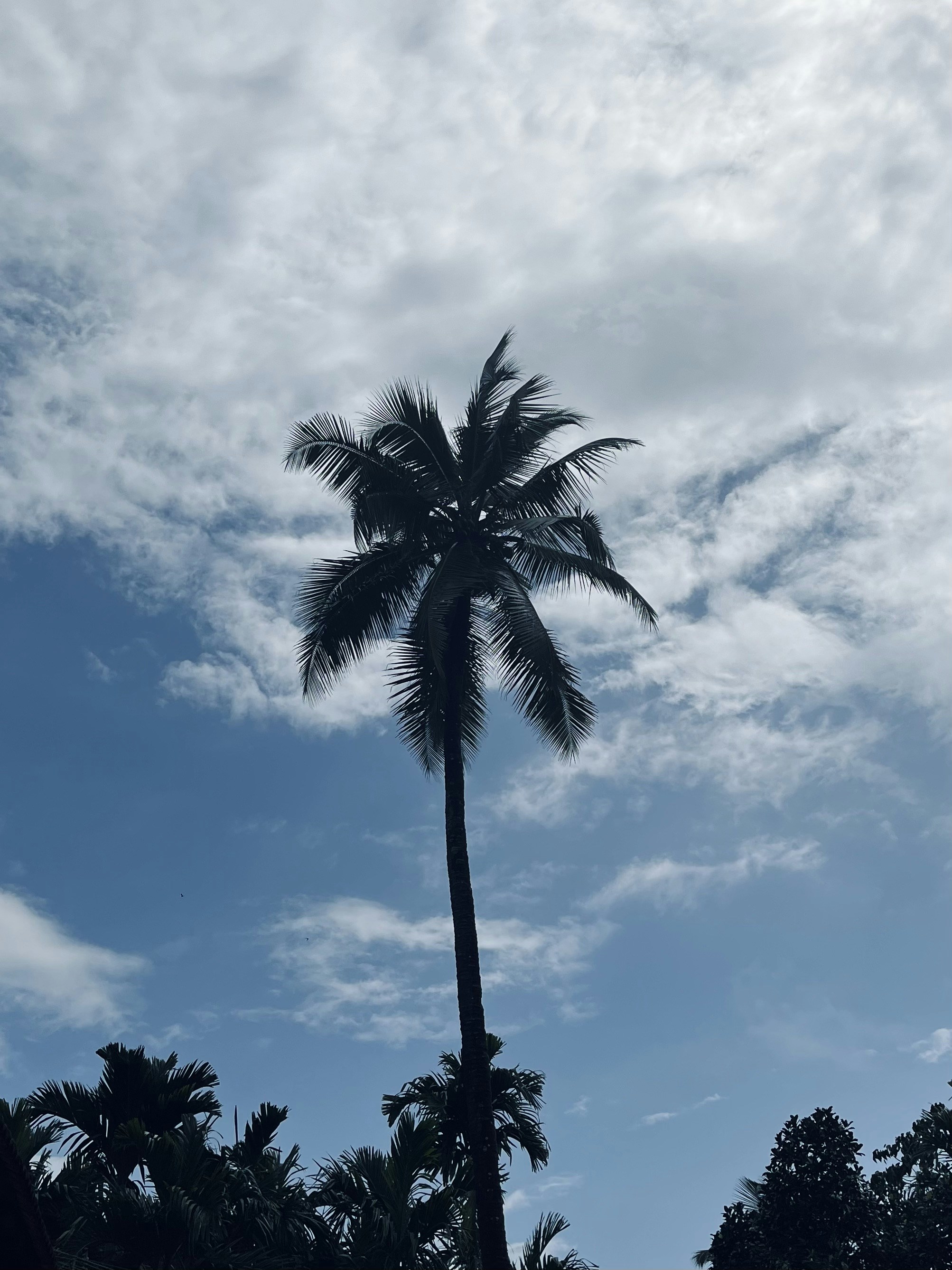 Photo by vishwasnavadak