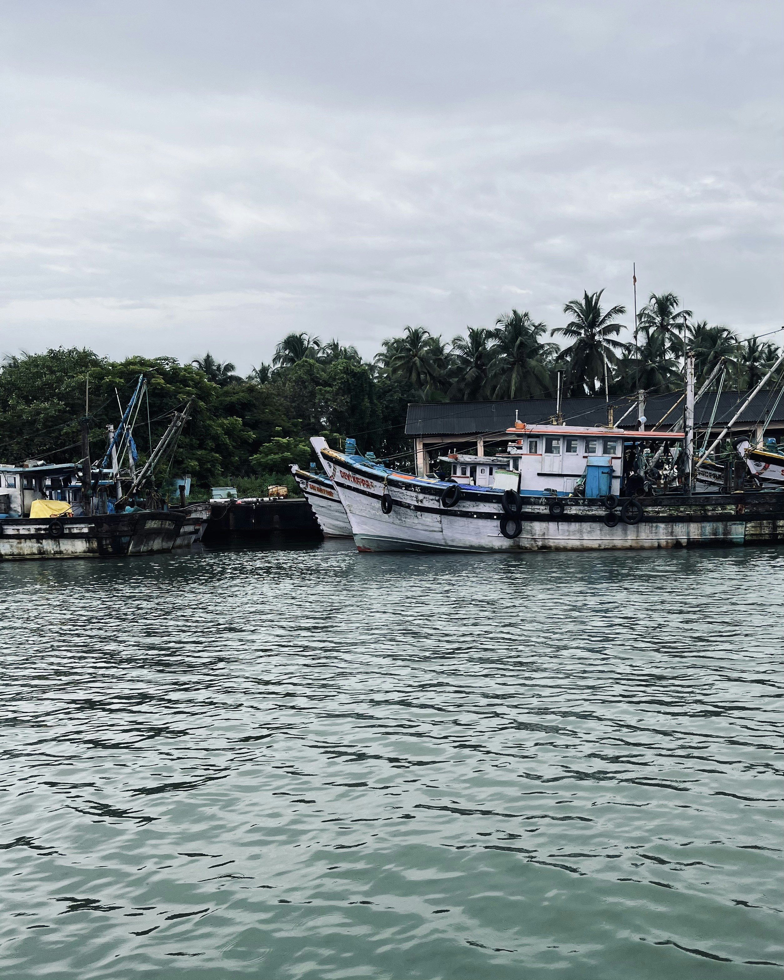 Photo by vishwasnavadak