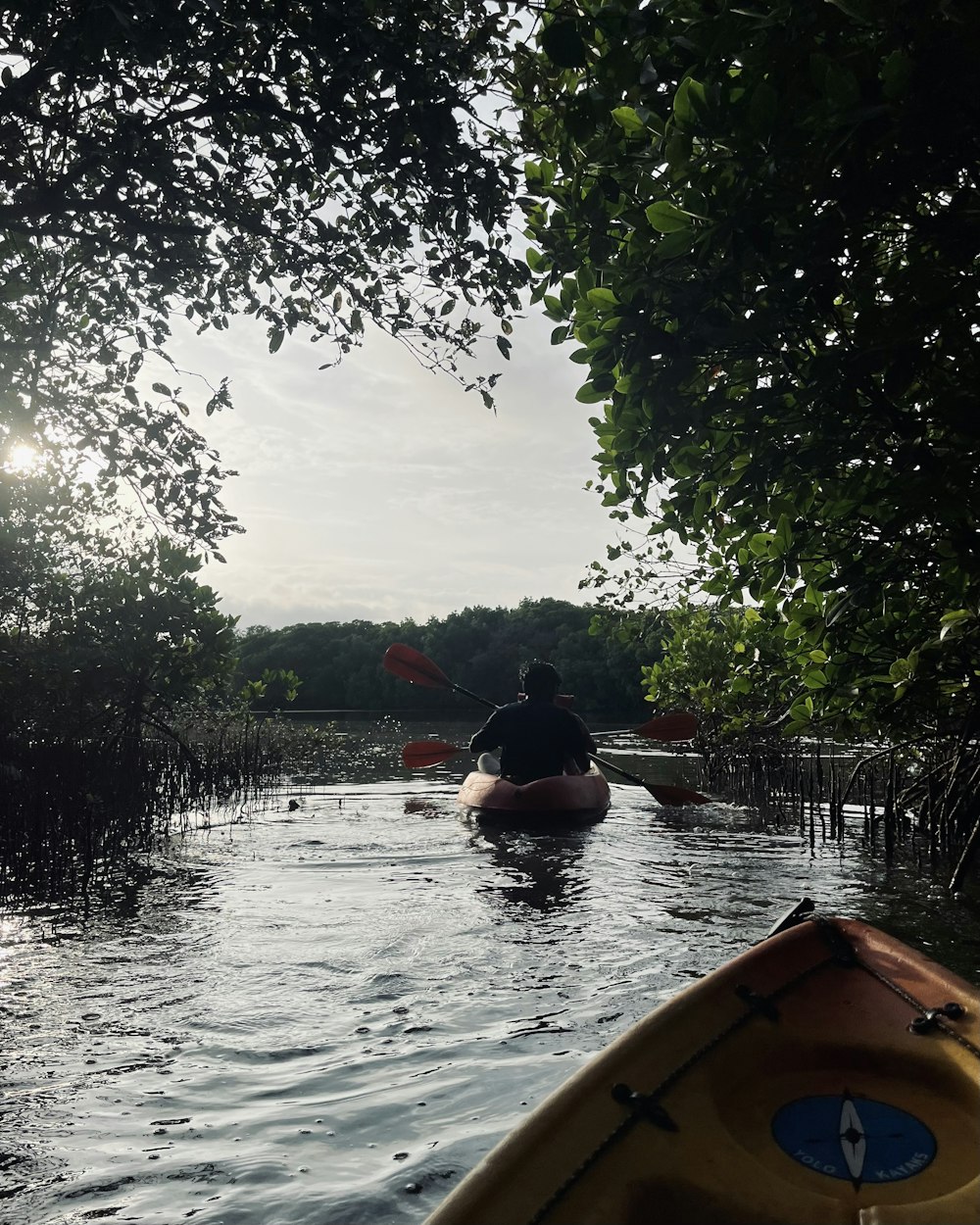 a man in a kayak paddling down a river