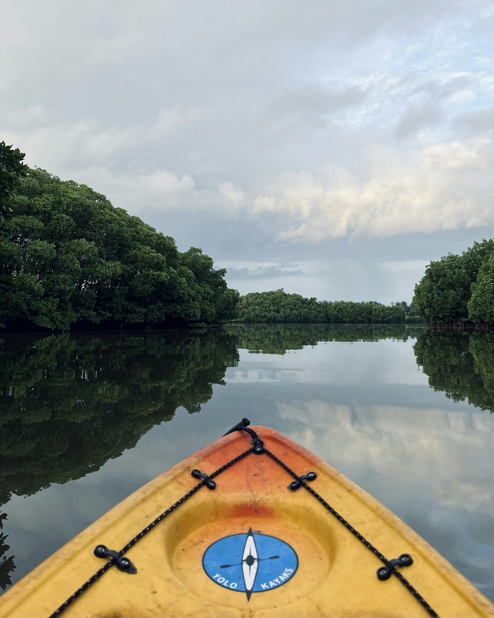 a view of a river from a kayak