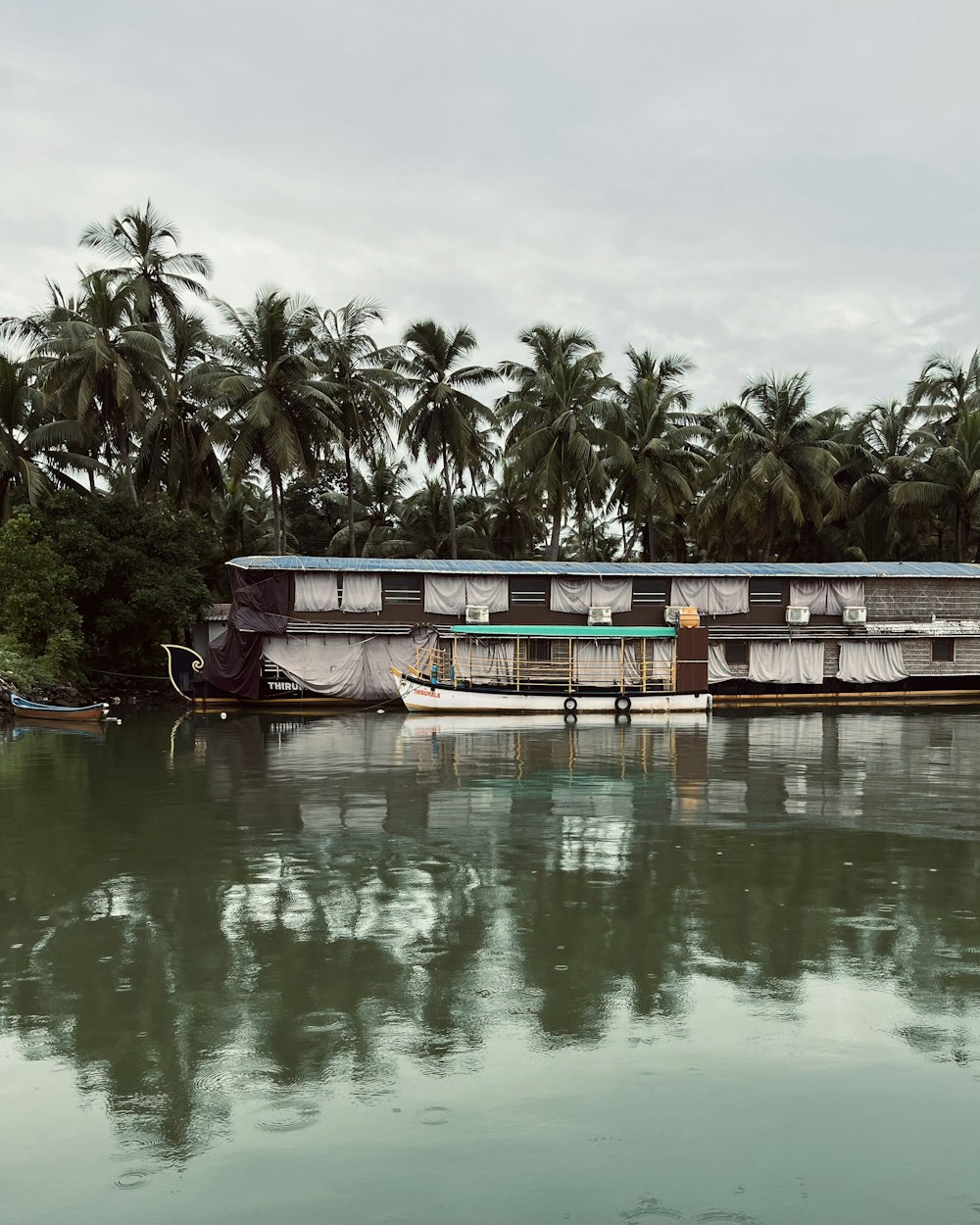 a houseboat is parked on the water with palm trees in the background