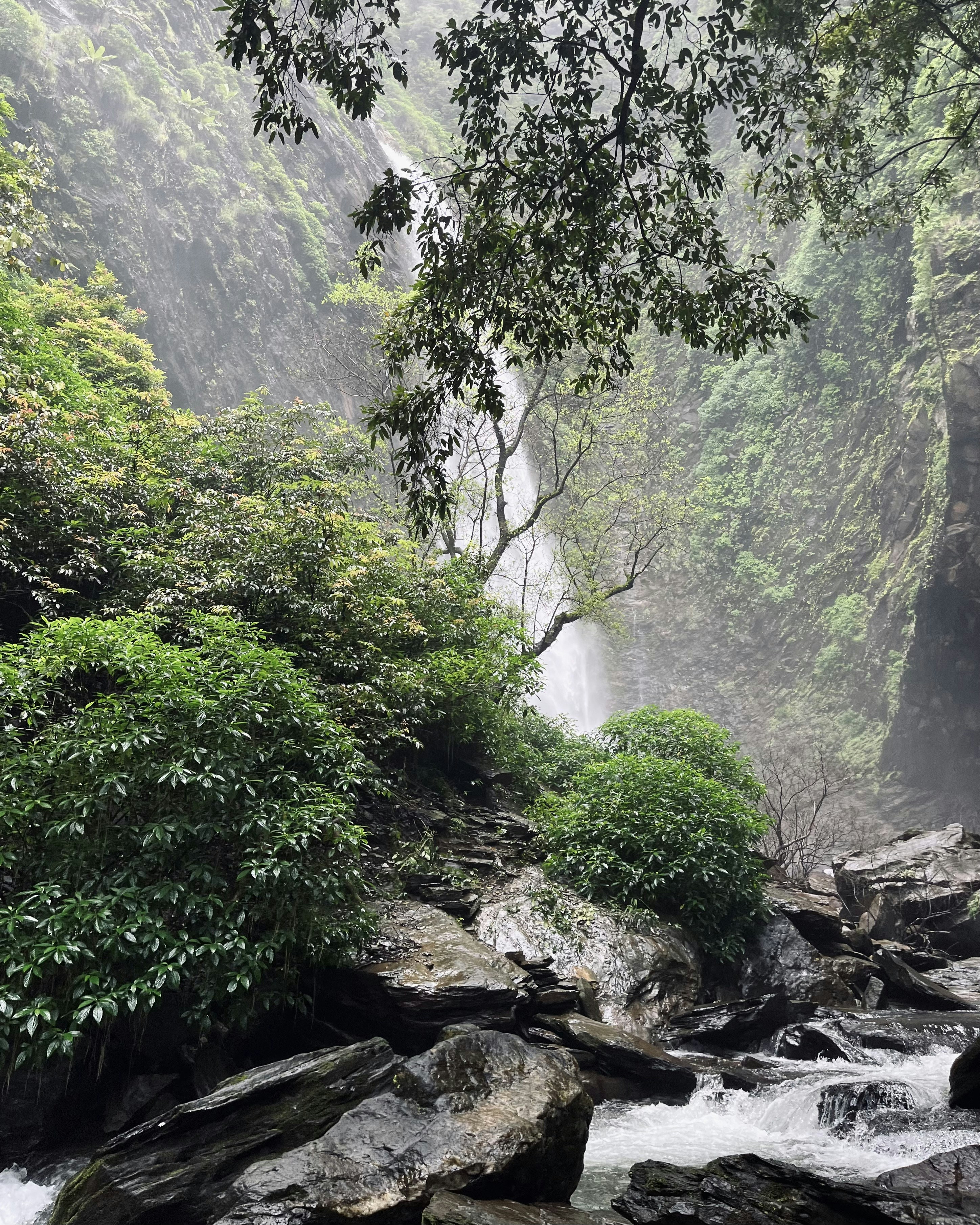 Photo by vishwasnavadak