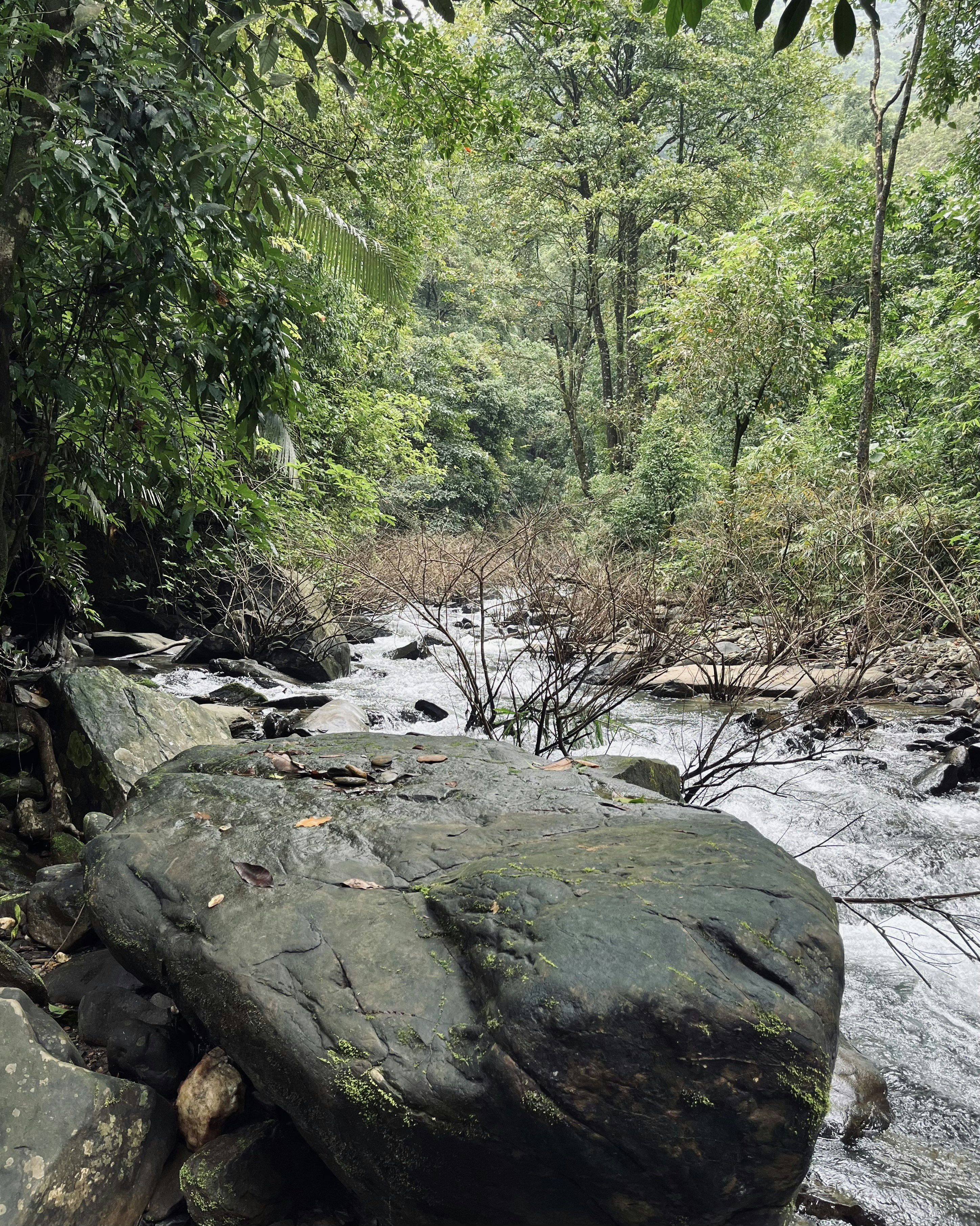 Photo by vishwasnavadak