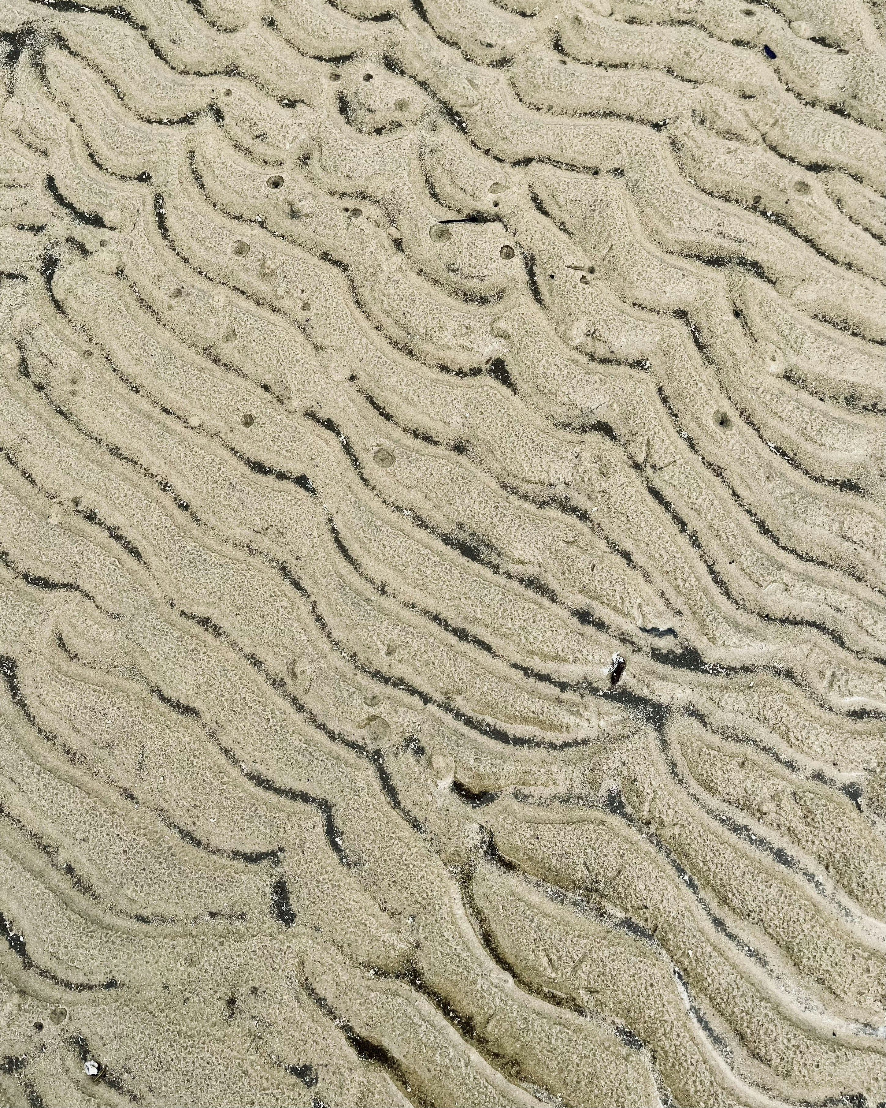 Photo by vishwasnavadak