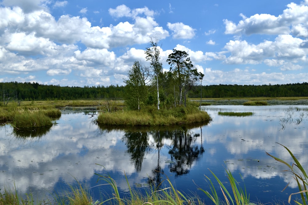 a body of water surrounded by grass and trees