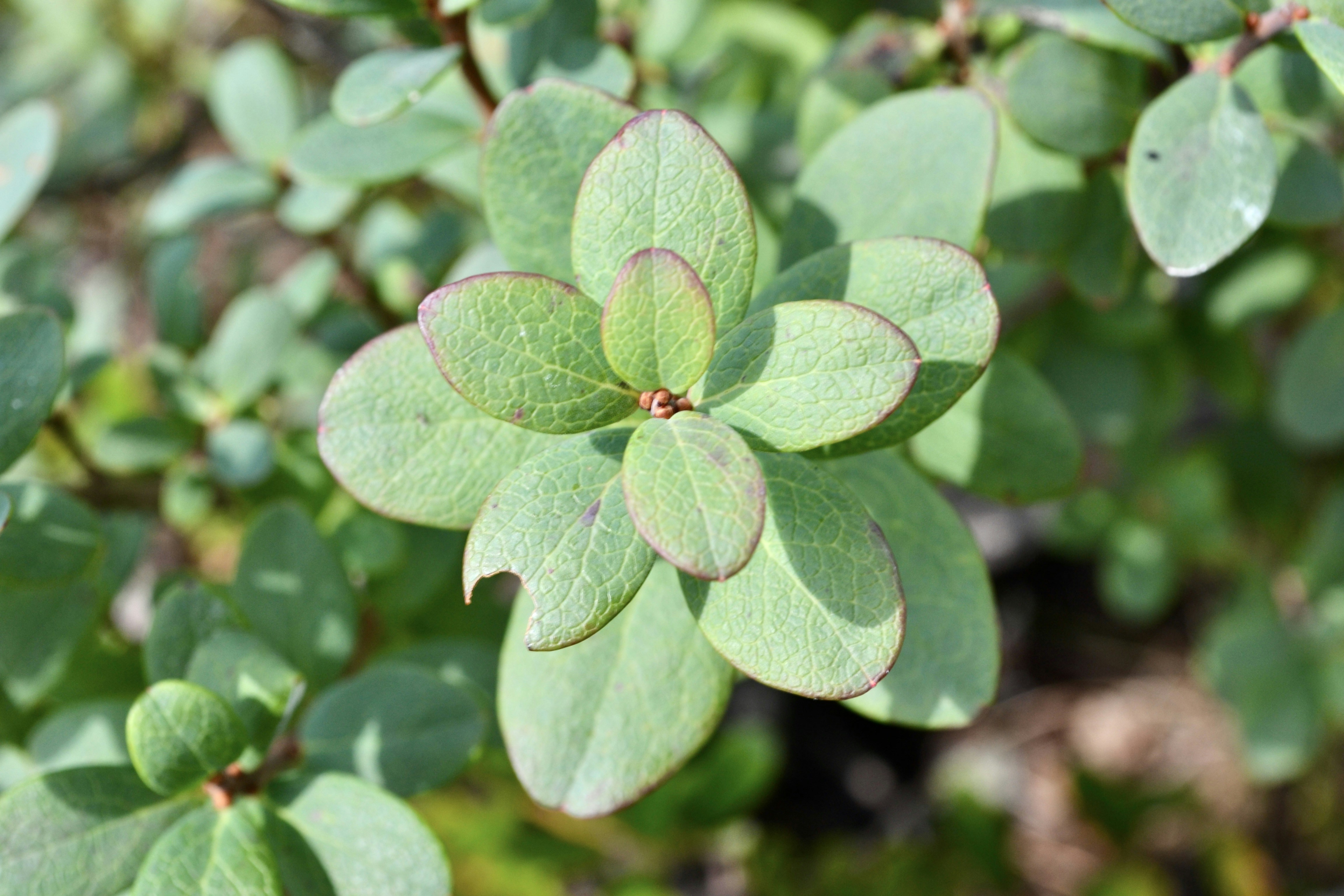 Photo by evgenslavin