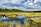 A serene wetland landscape with lush green grass and bushes surrounding a calm, reflective body of water. In the background, a dense forest of tall trees borders the scene beneath a sky filled with fluffy white clouds on a bright day.