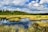 A serene wetland landscape with lush green grass and bushes surrounding a calm, reflective body of water. In the background, a dense forest of tall trees borders the scene beneath a sky filled with fluffy white clouds on a bright day.
