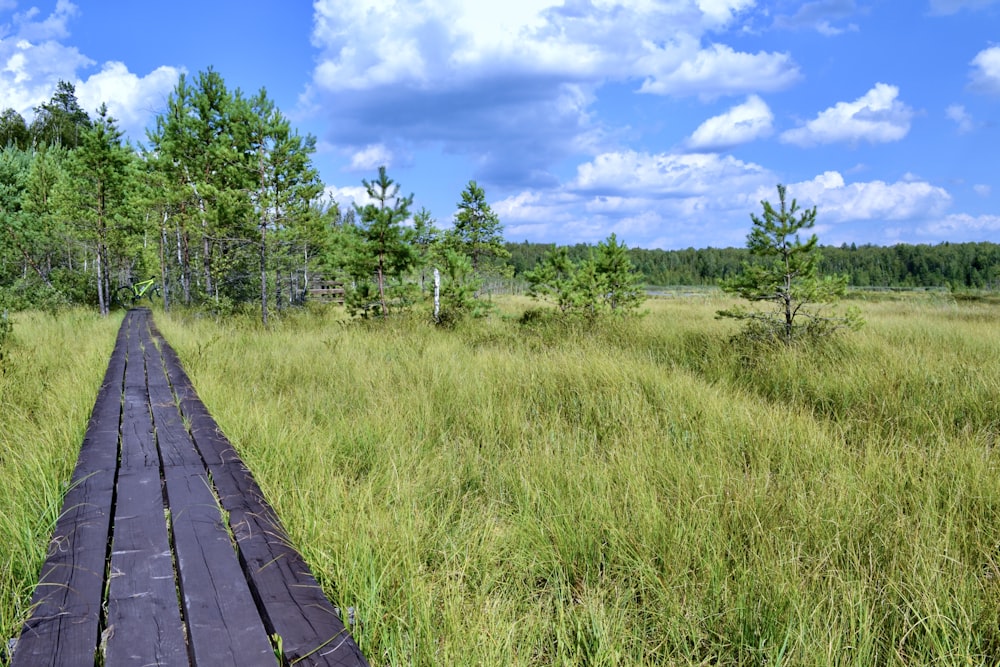 a wooden walkway in a grassy field with trees in the background