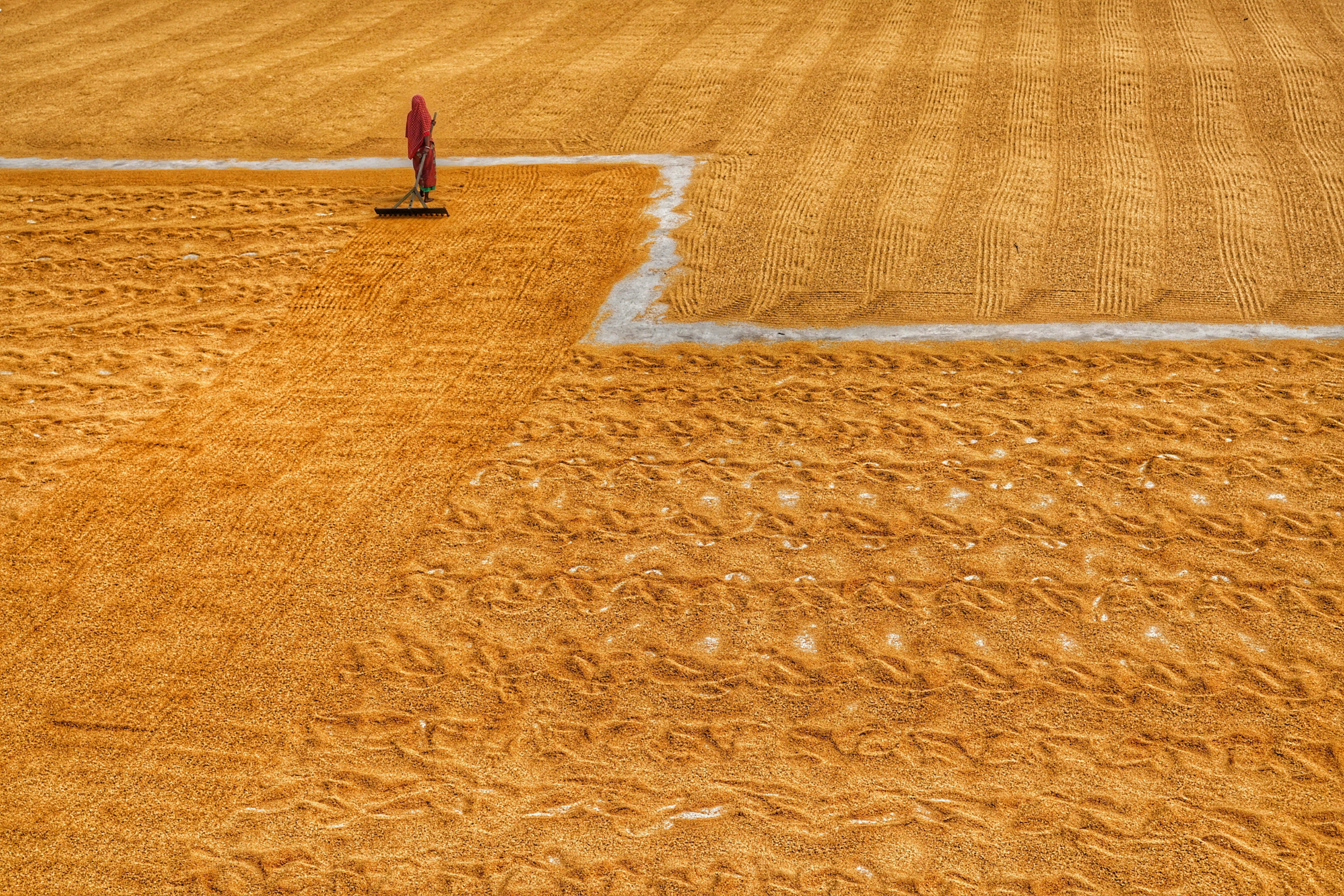 Photo by dibakar16roy