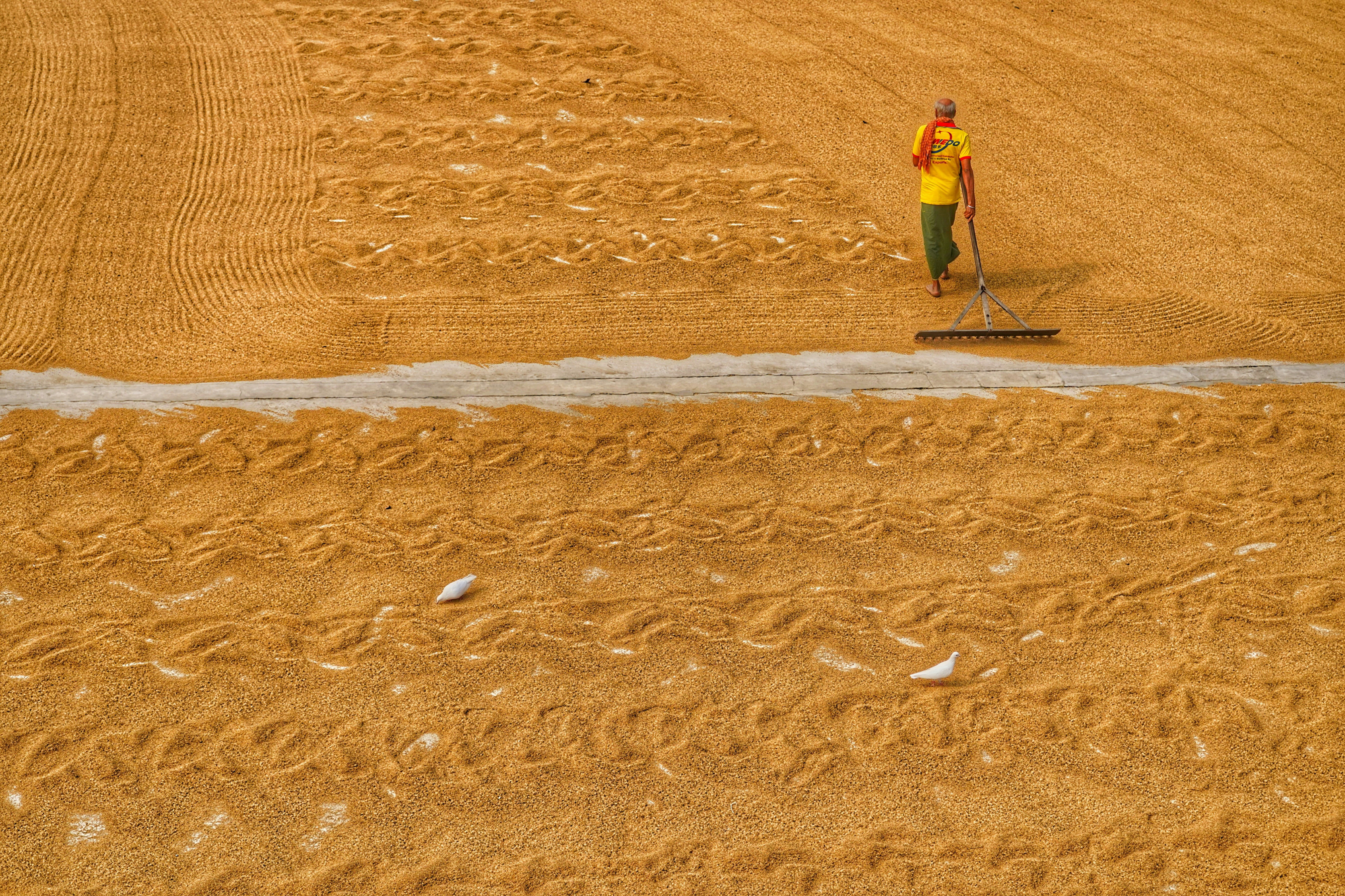 Photo by dibakar16roy