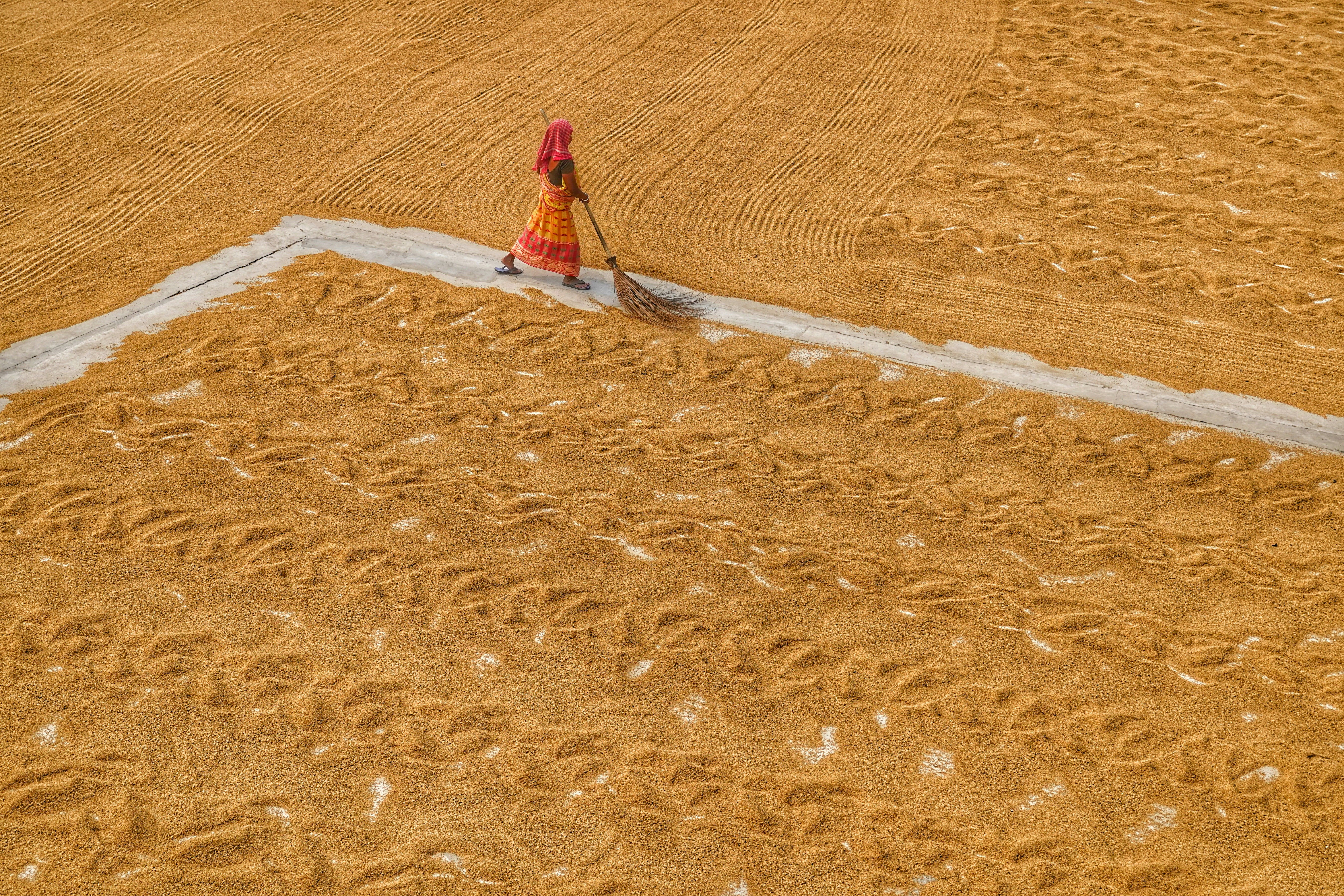 Photo by dibakar16roy