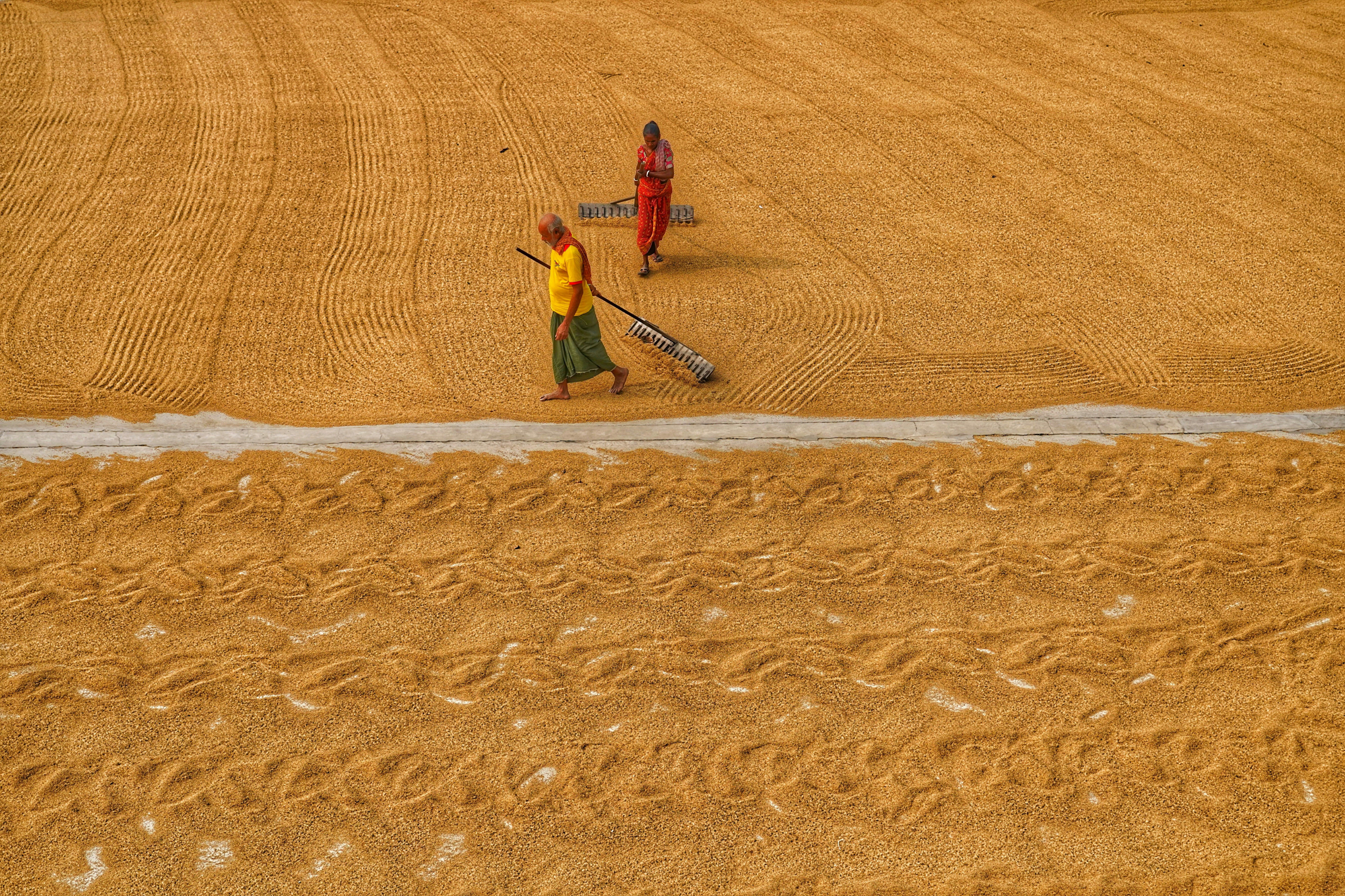 Photo by dibakar16roy