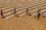 Workers carefully sorting broken rice grains on a spacious factory floor.
