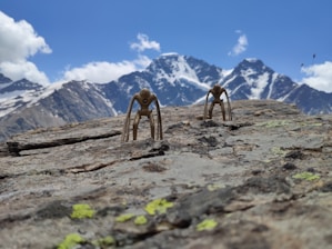 A robot delivering a parcel on a snowy mountain trail.