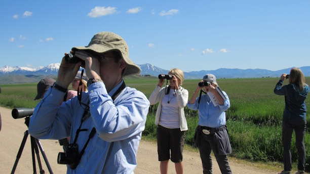 Several people are birdwatching in an open grassy area with mountains and a clear blue sky in the background. They are using binoculars and cameras to observe their surroundings. One person is wearing a wide-brimmed hat and another has a camera with a large lens mounted on a tripod.