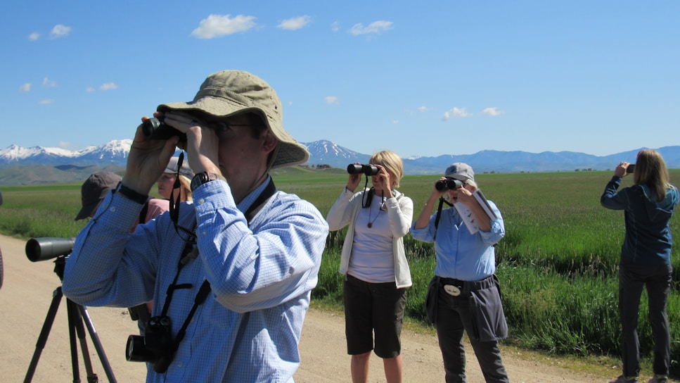 Several people are birdwatching in an open grassy area with mountains and a clear blue sky in the background. They are using binoculars and cameras to observe their surroundings. One person is wearing a wide-brimmed hat and another has a camera with a large lens mounted on a tripod.