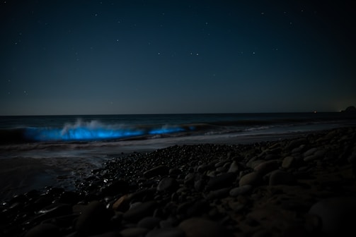 The image captures a serene nighttime beach scene with bioluminescent waves that glow with a vivid blue hue. The sky above is dark and scattered with stars, adding a tranquil celestial backdrop. The foreground consists of smooth, dark stones that are dimly lit by the ambient light.