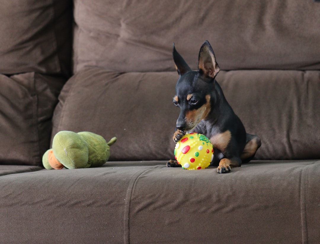 Plush Bone